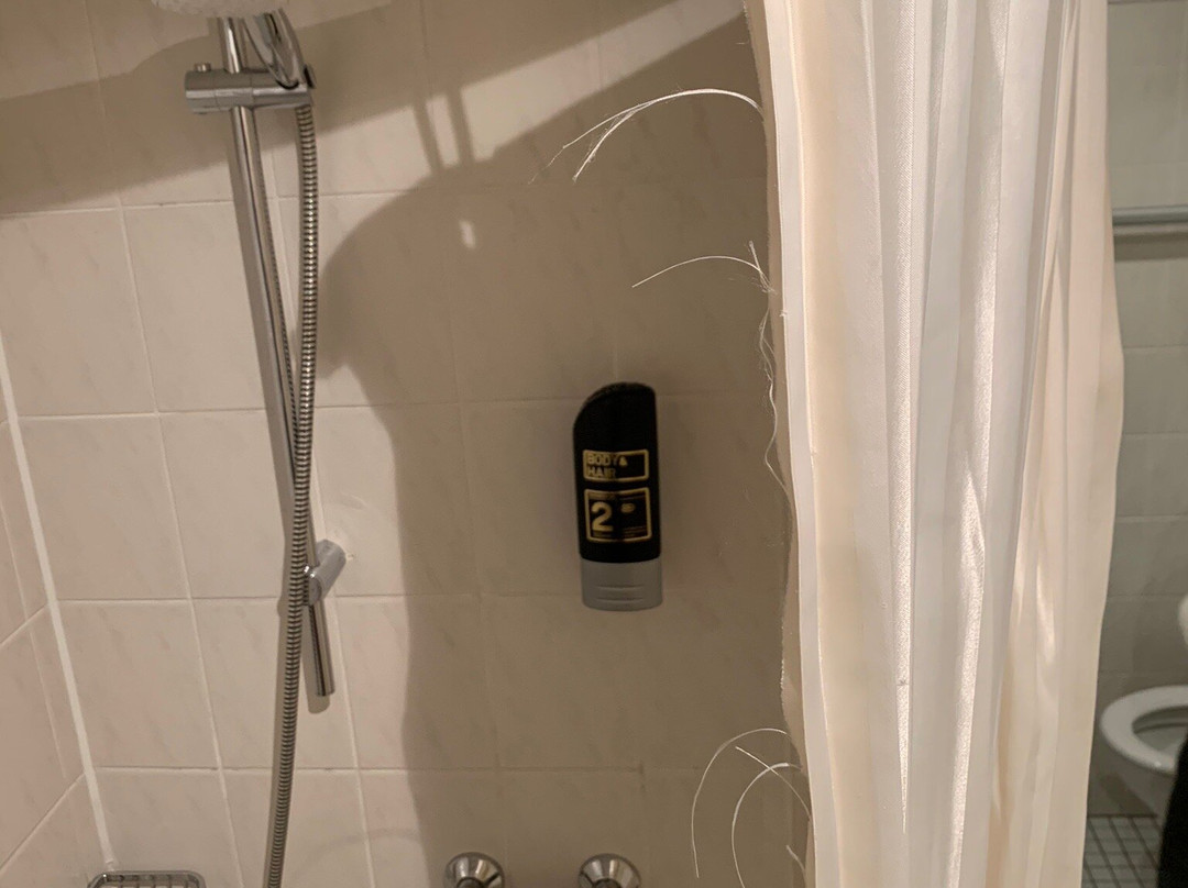 Hotel Luitpold Am See主图