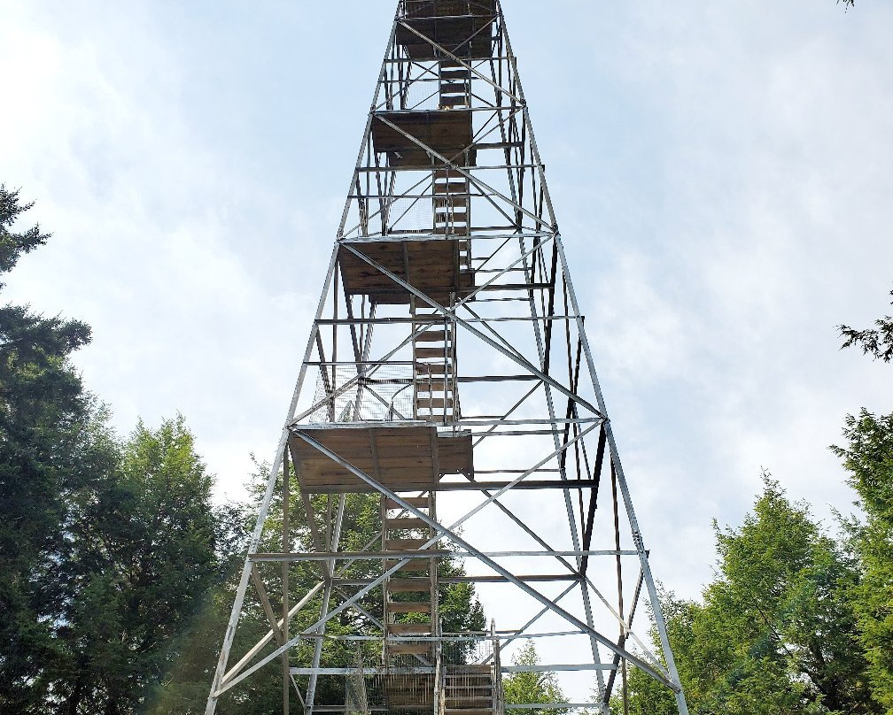 Spruce Mountain Trail景点图片