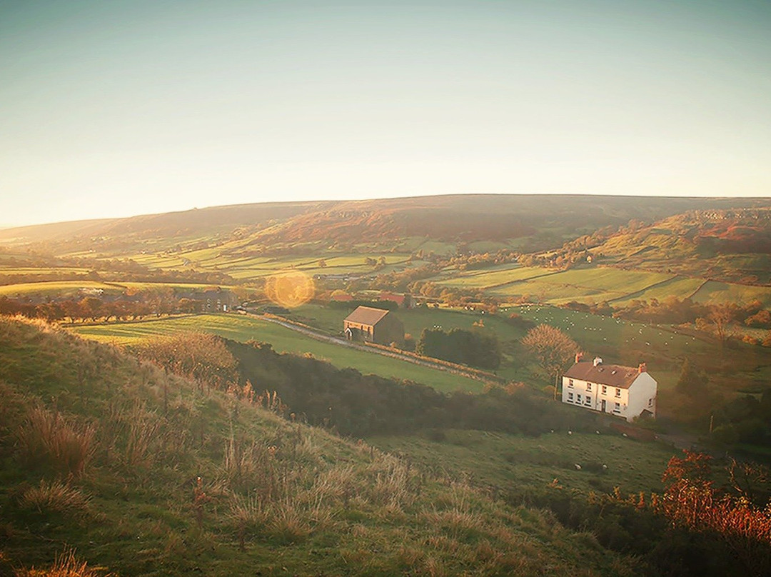 Rosedale Abbey酒店住宿-The Tree Relaxation Retreat