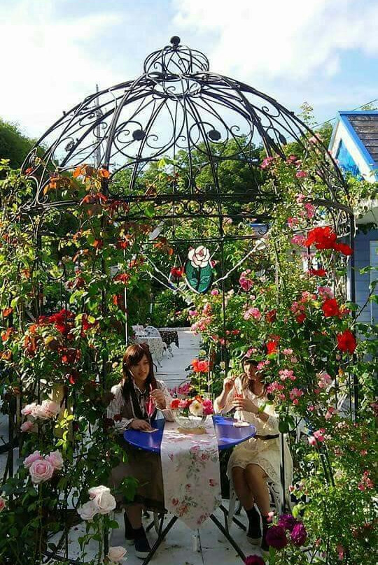 Strawberry Ice Rose Garden-舞鹤市必去景点