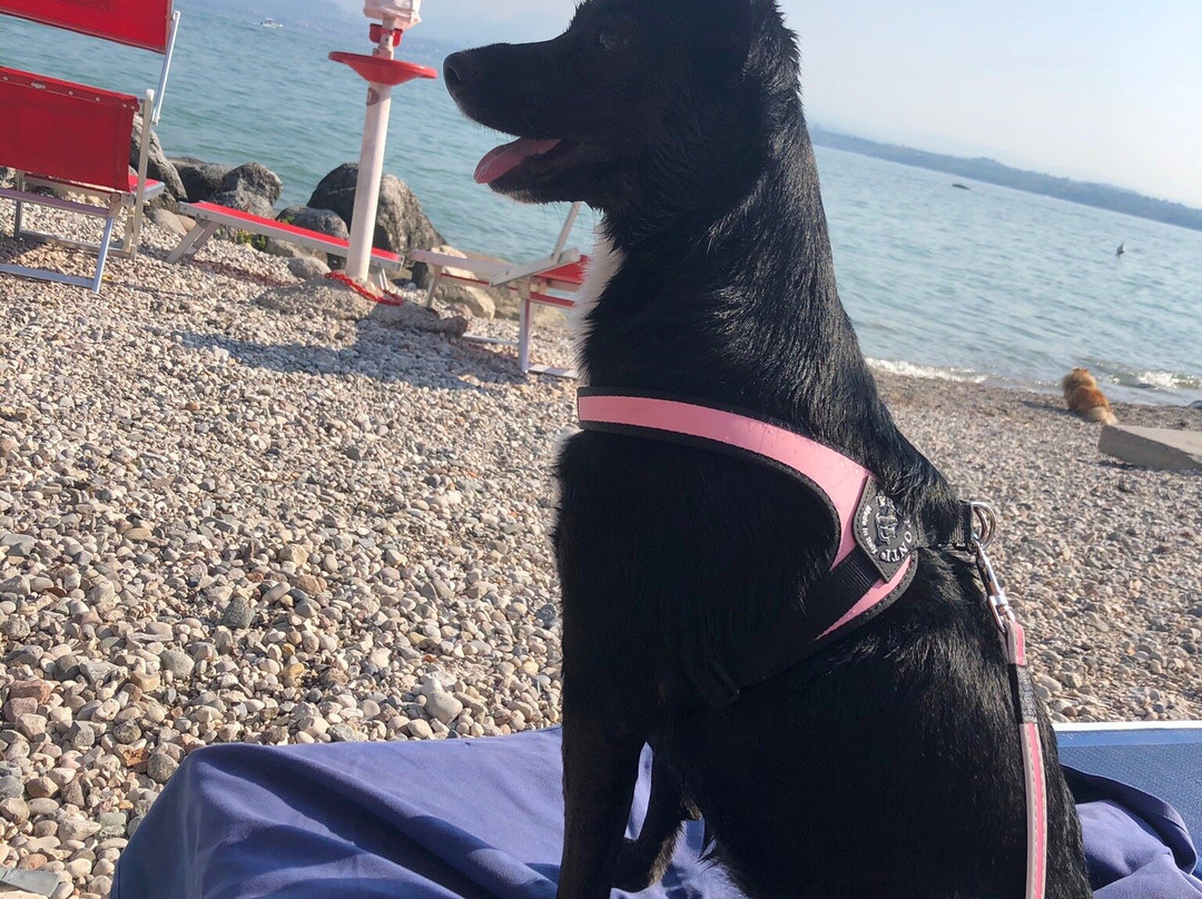 Bracco Baldo Beach景点图片