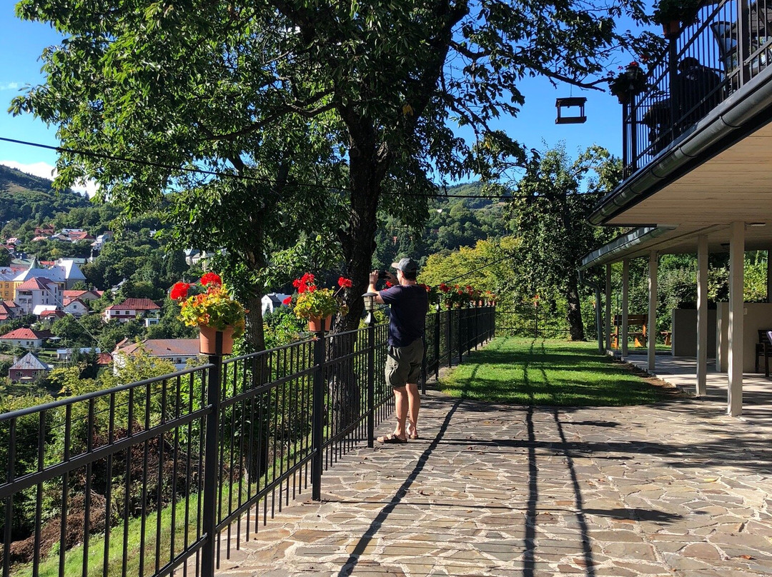 Penzión na Kopci - Alena Dobrovičová主图