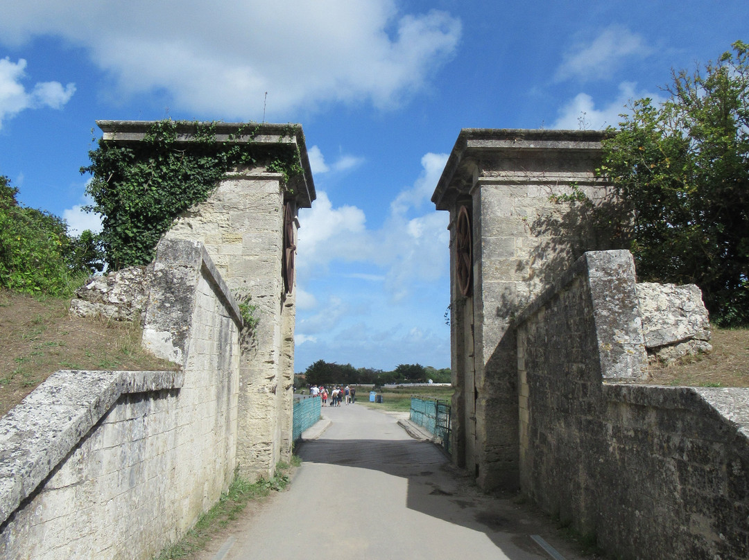 Croisières Fourasines景点图片