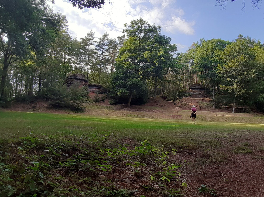 Naturbühne "am Falkenstein" Queidersbach-Queidersbach必去景点
