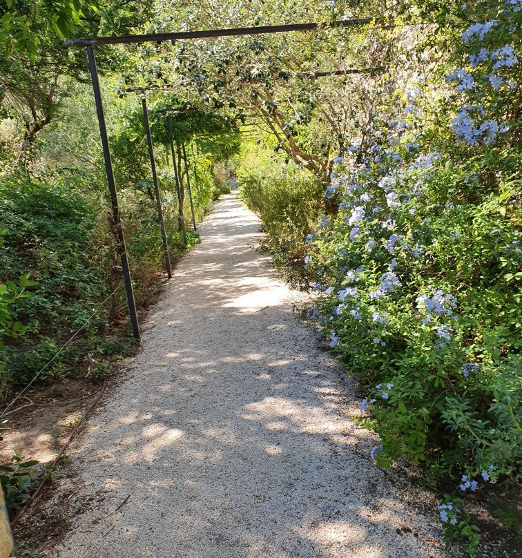 Parc St Bernard-耶尔必去景点