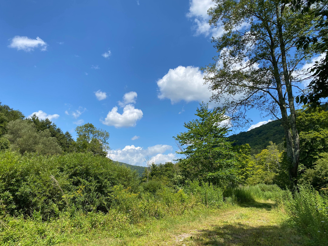 Slide Mountain Forest House主图