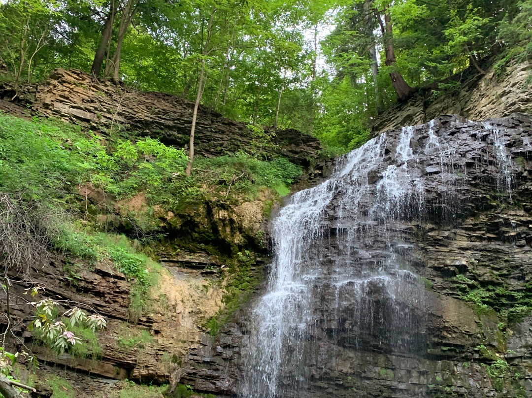 Tiffany Falls Conservation Area-安卡斯特必去景点