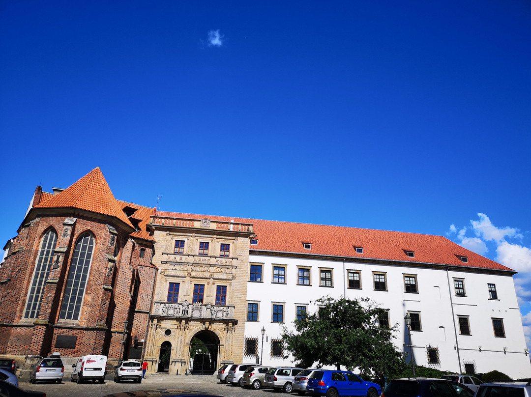 Muzeum Piastow Slaskich景点图片