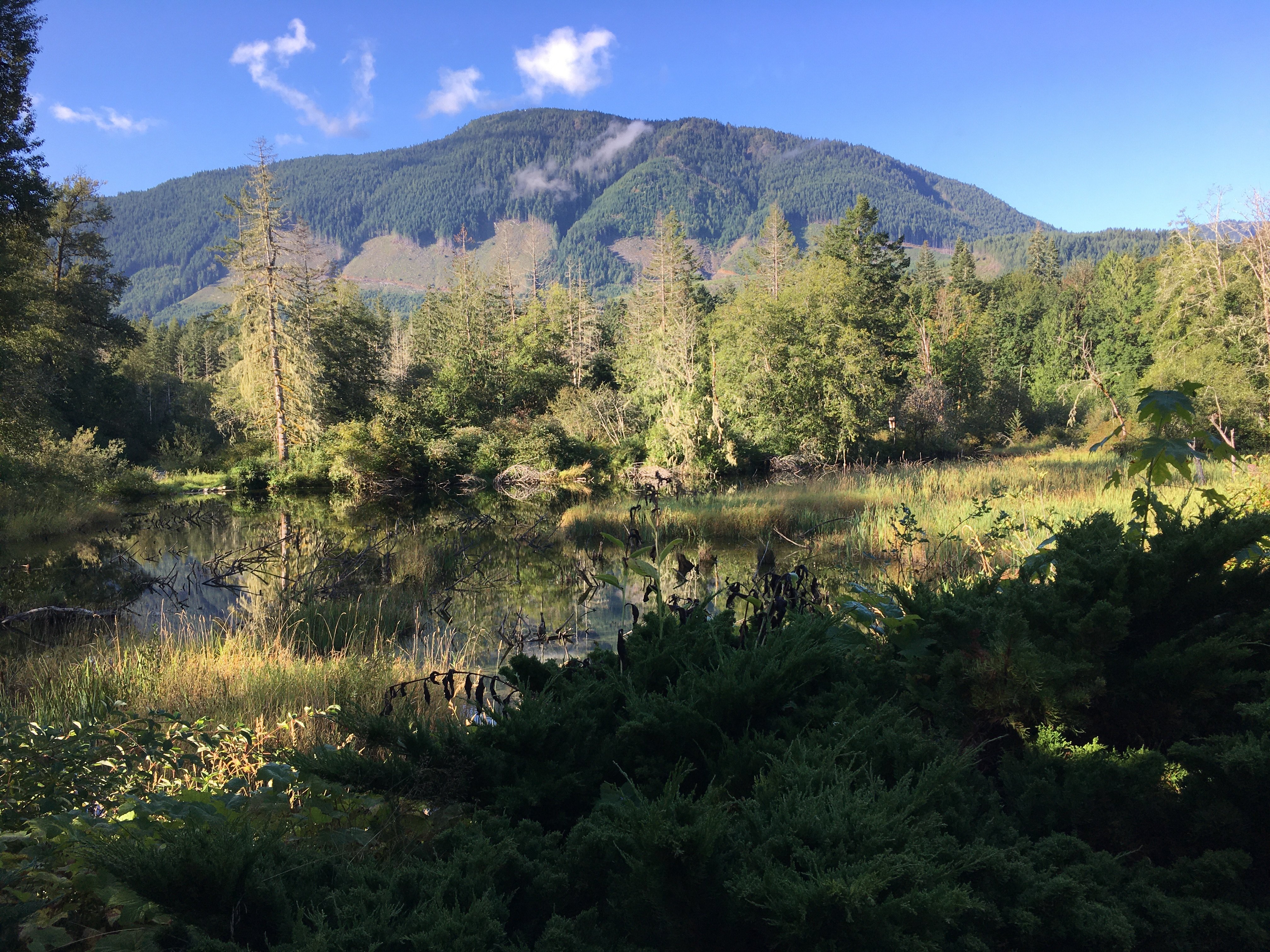 Cowichan River Lodge-酒店景观