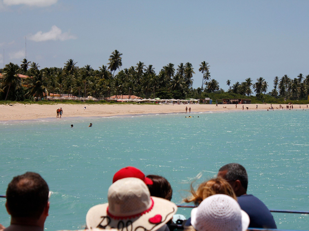 Gray Line Brazil-Maceio必去景点