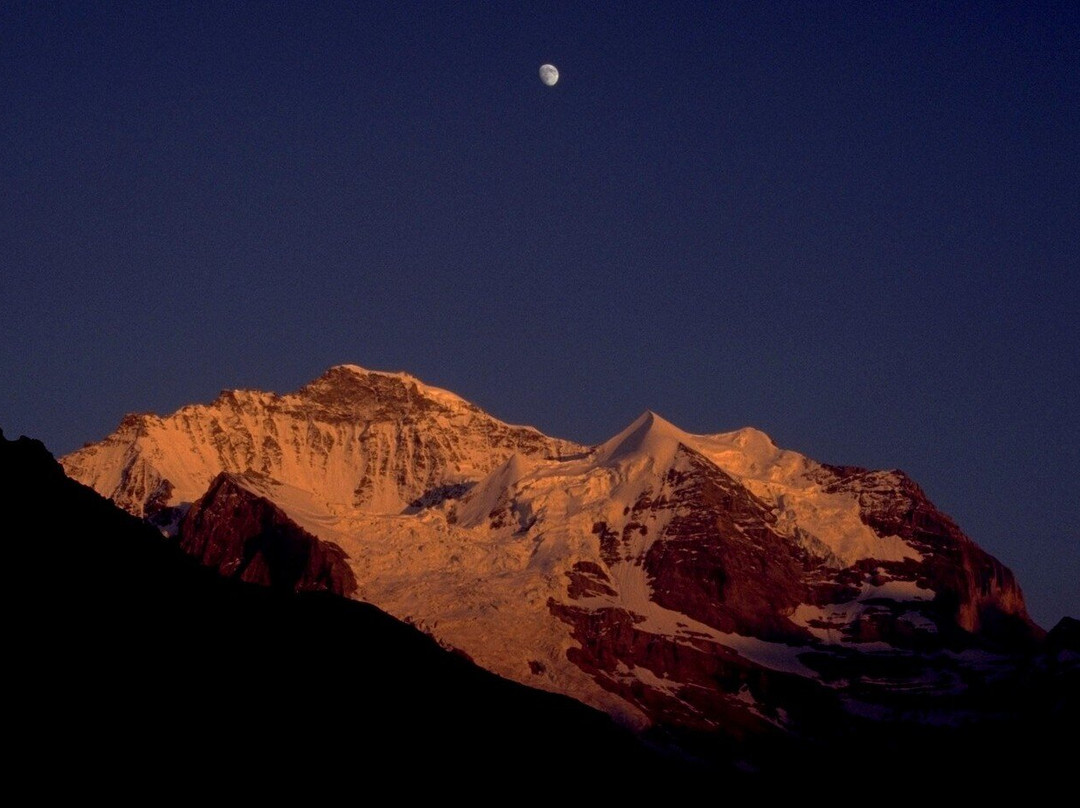 贝豪斯酒店主图