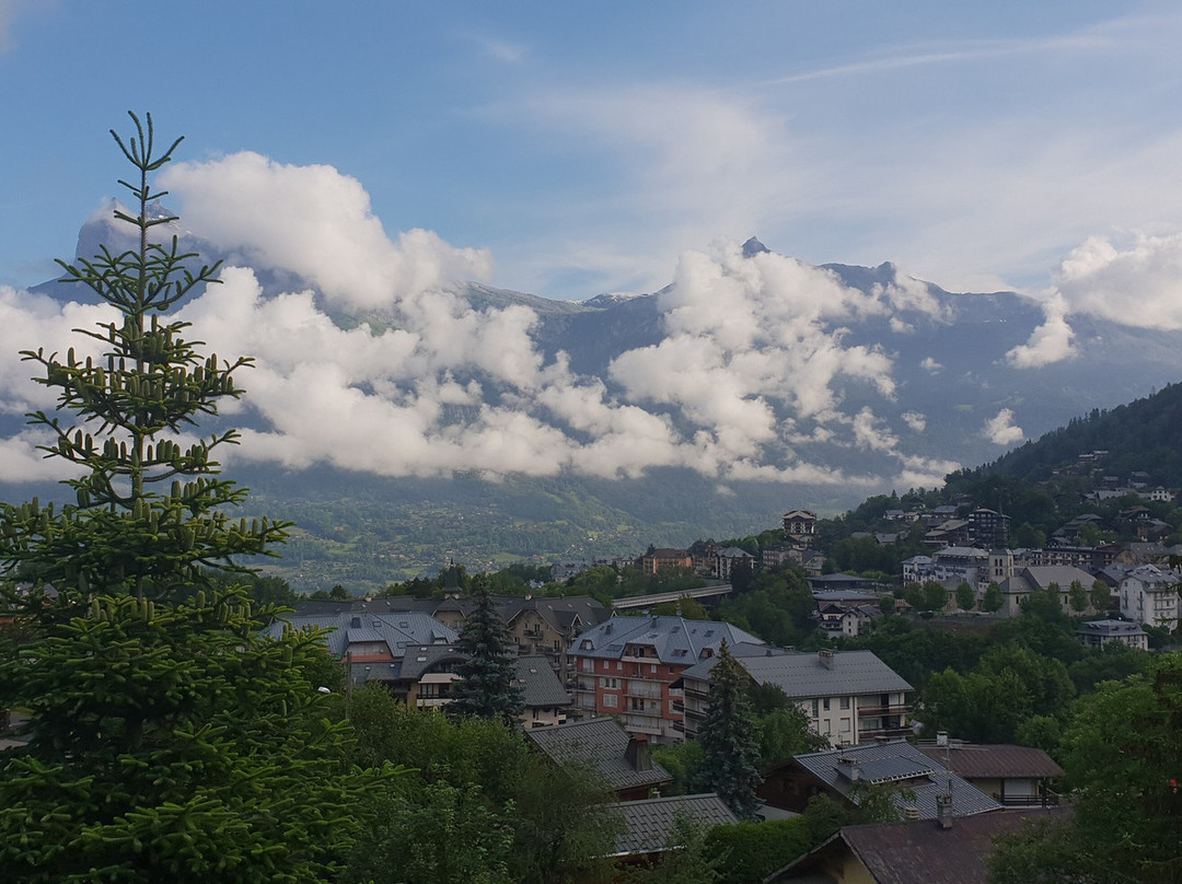 Sowell Hotels Mont Blanc & Spa主图
