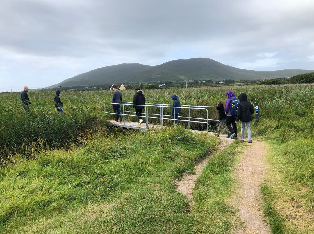 Ballinskelligs Beach-Ballinskelligs必去景点