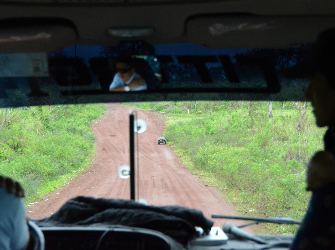 Rancho El Manzanillo-阿约拉港必去景点