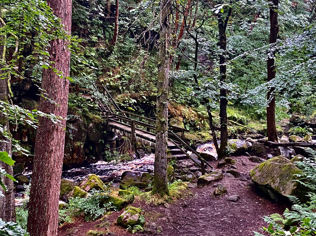 Padley Gorge景点图片