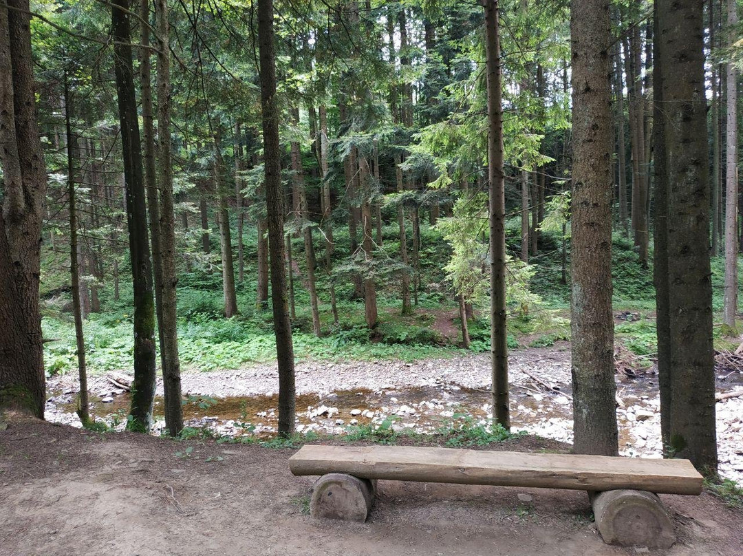 National Park Skole Beskids-Skole必去景点