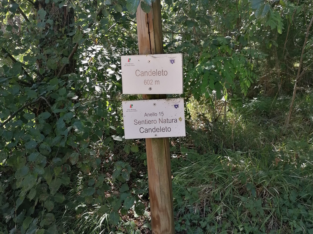 Hotel Candeleto主图