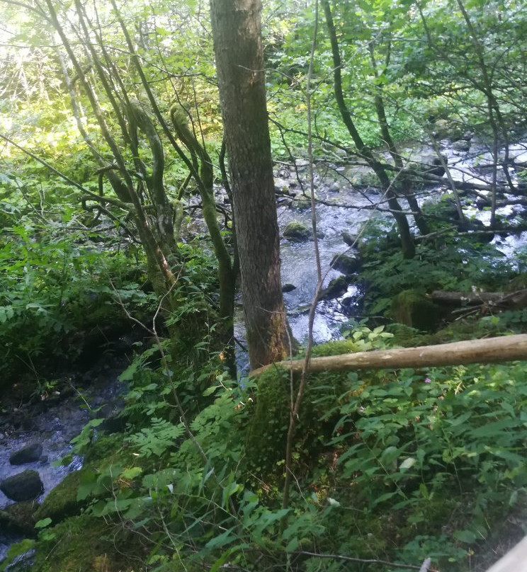 Cascate di Nardis景点图片