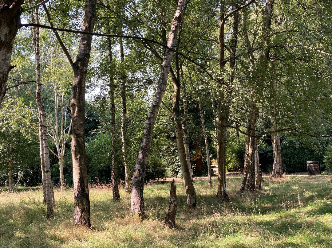 Stockwood Discovery Centre景点图片