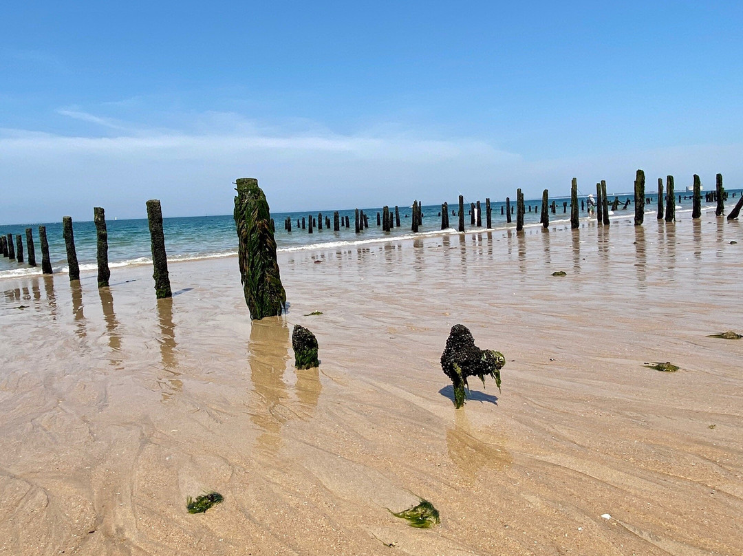 Saumonards Beach景点图片