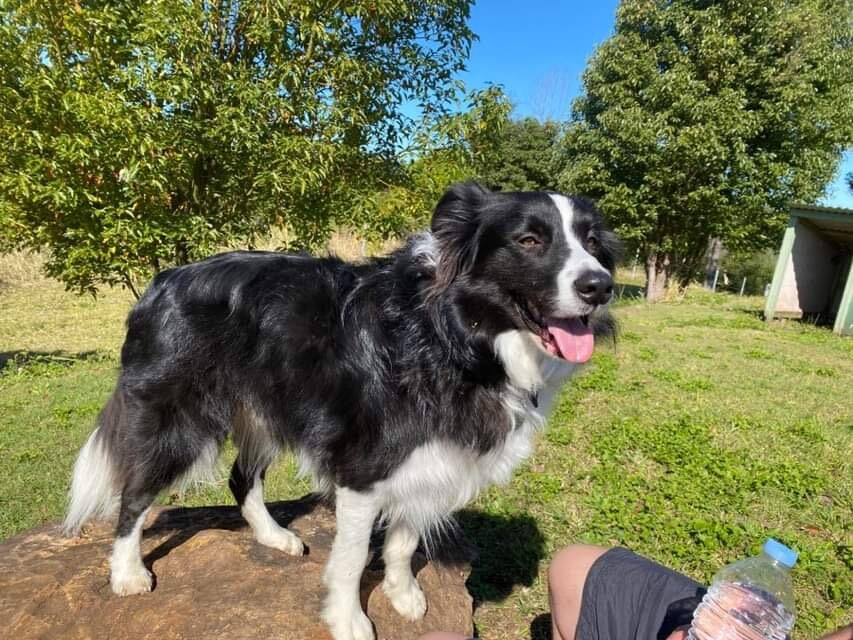 Tropical Coast Retreat - Pet Friendly主图