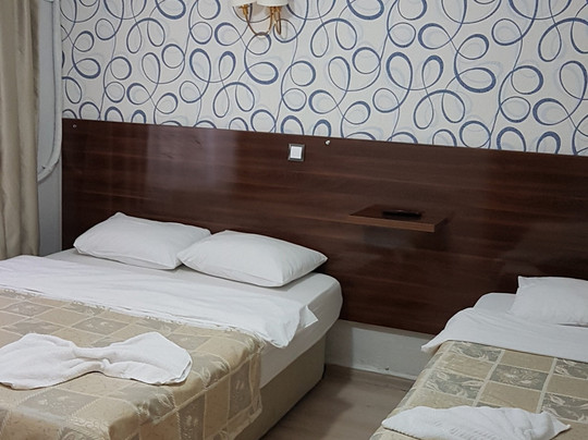 Class 17 Pension Hotel主图