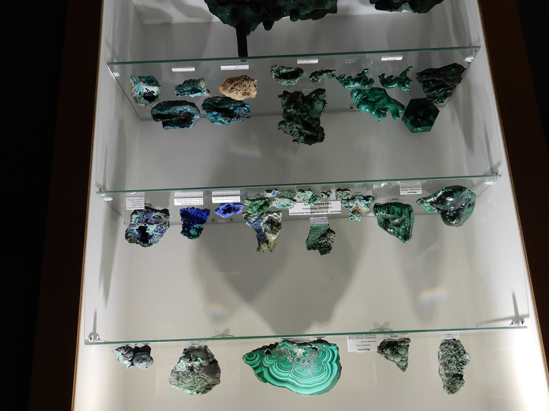 Museum of Minerals and Fossils-Swieta Katarzyna必去景点