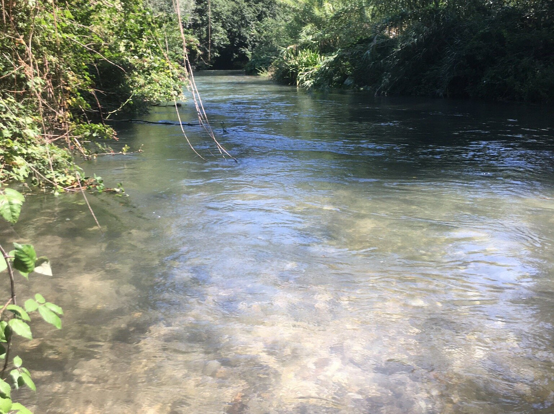 Umbria rafting and canoe景点图片