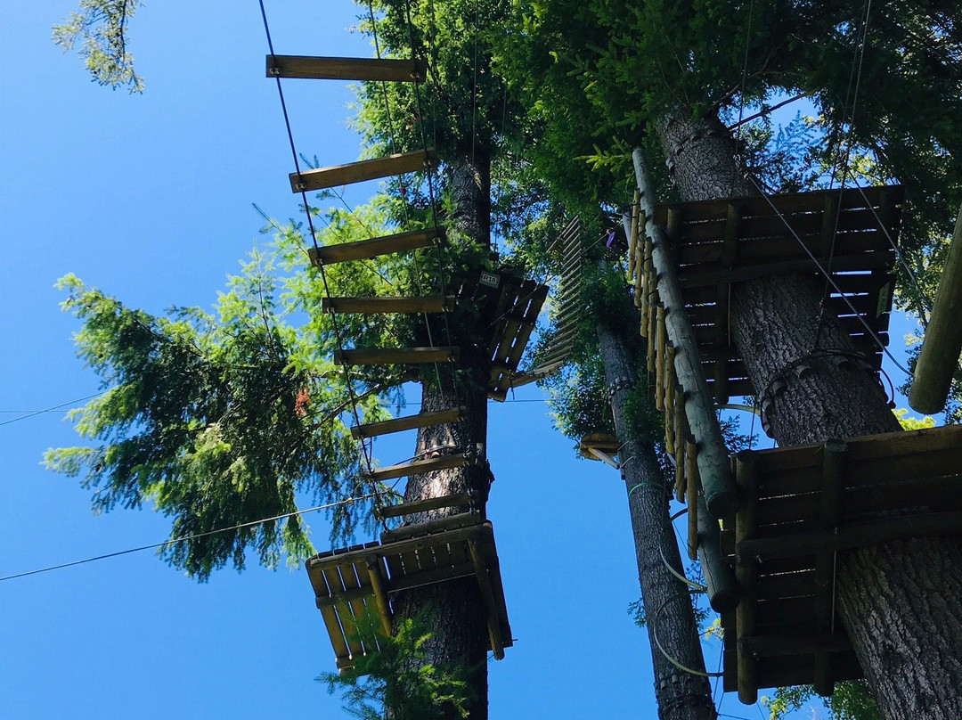 Parc Aventure Chaumont-Chaumont-de-Pury必去景点