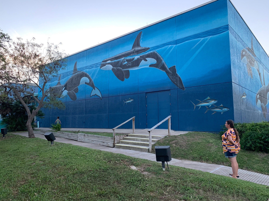 Wyland's Whaling Wall-南帕诸岛必去景点