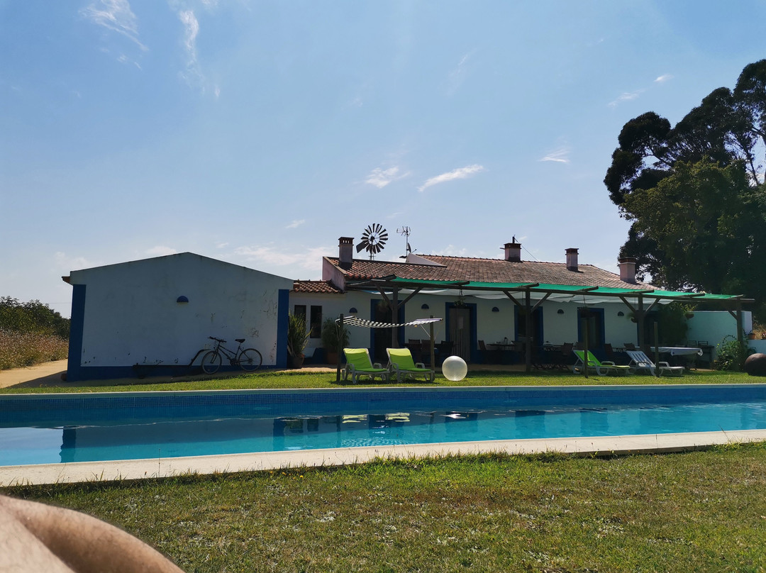 The New Laziness主图