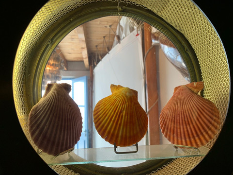 Musée de la Nacre - Gallet Nacres-Ile d'Aix必去景点