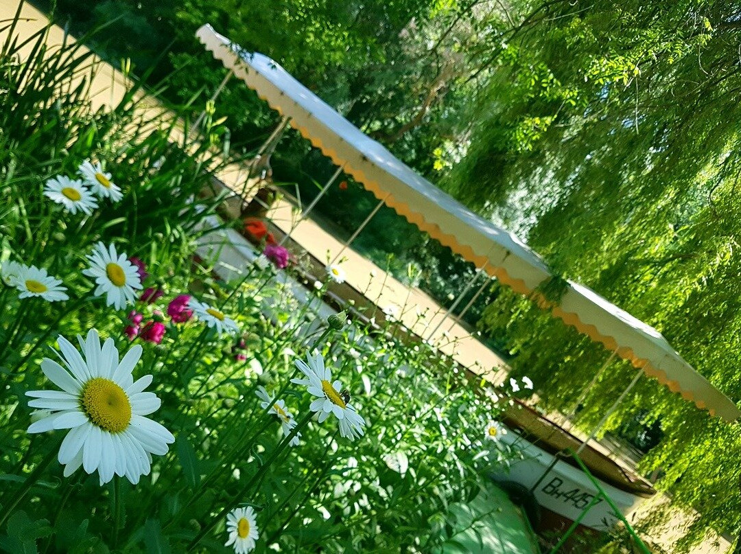 Boat Trips on River Kamchia Lucy Longoz-卡姆奇亚必去景点