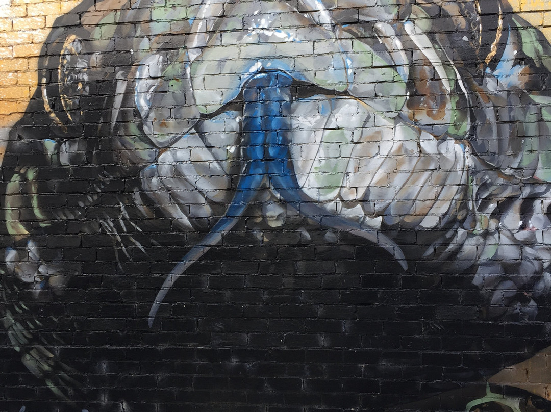 Sirum Snake Mural-Woomelang必去景点