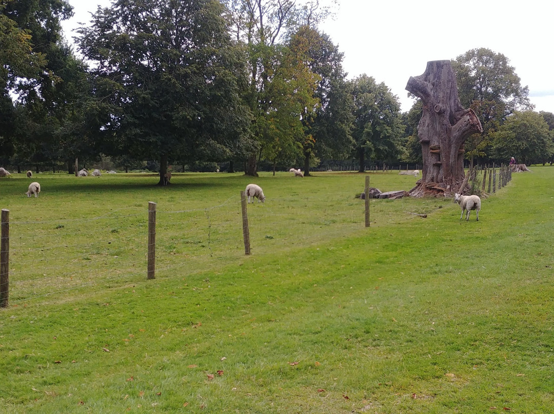 Ashdown House-Lambourn必去景点