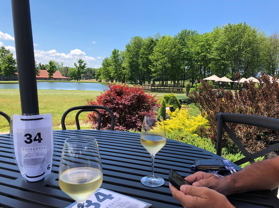 Laurentia Vineyard and Winery-Madison必去景点