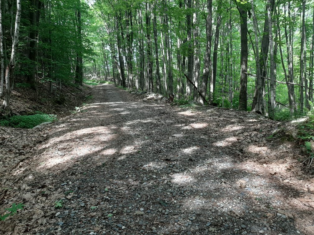 Pisgah State Park景点图片