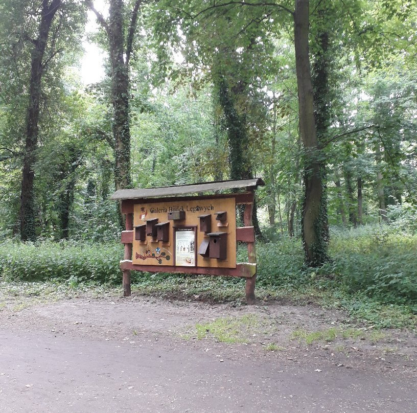Beech Forest (Puszcza Bukowa), Szczecin景点图片