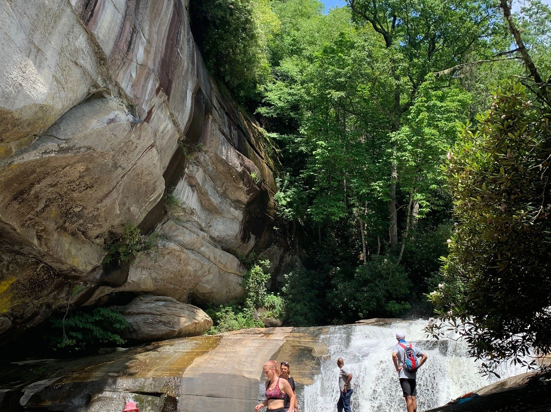 Miller's Land of Waterfall Tours景点图片