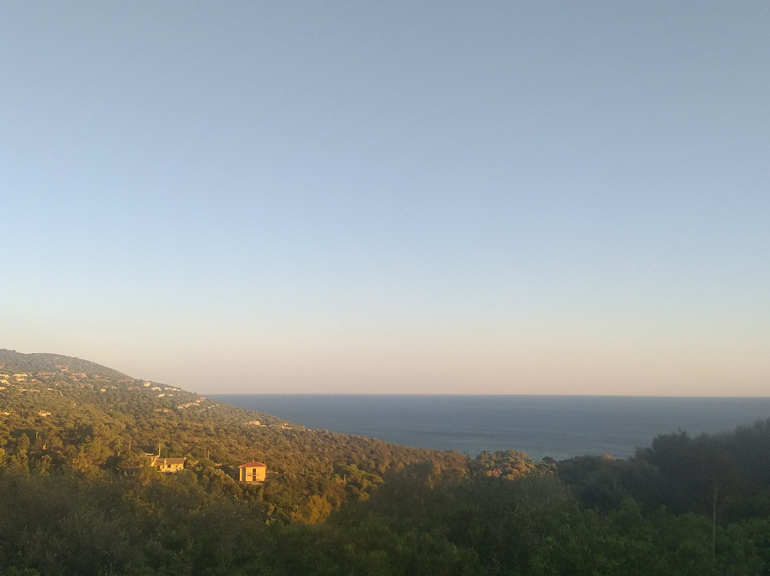 Villa Bella Salmagi - Surya Sardinia主图
