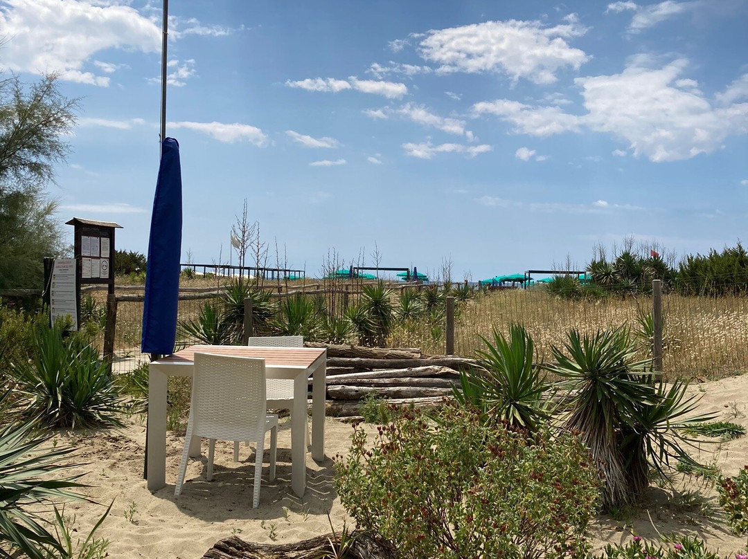 Bagno Le Dune del Forte-福尔泰德伊马尔米必去景点