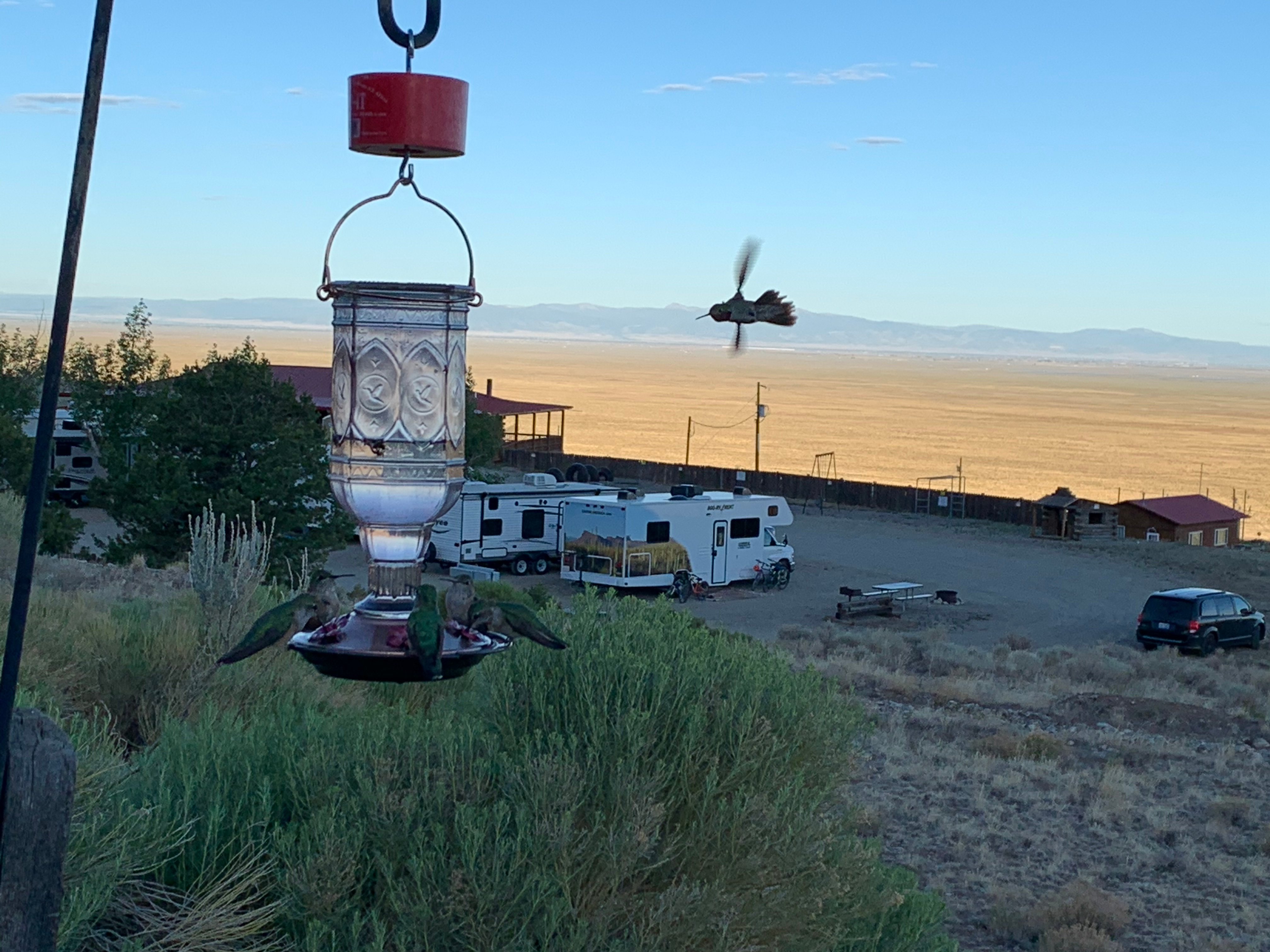 Great Sand Dunes Lodge-酒店景观