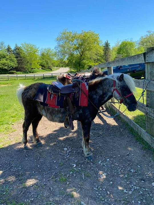 Patch 22-Wadsworth必去景点