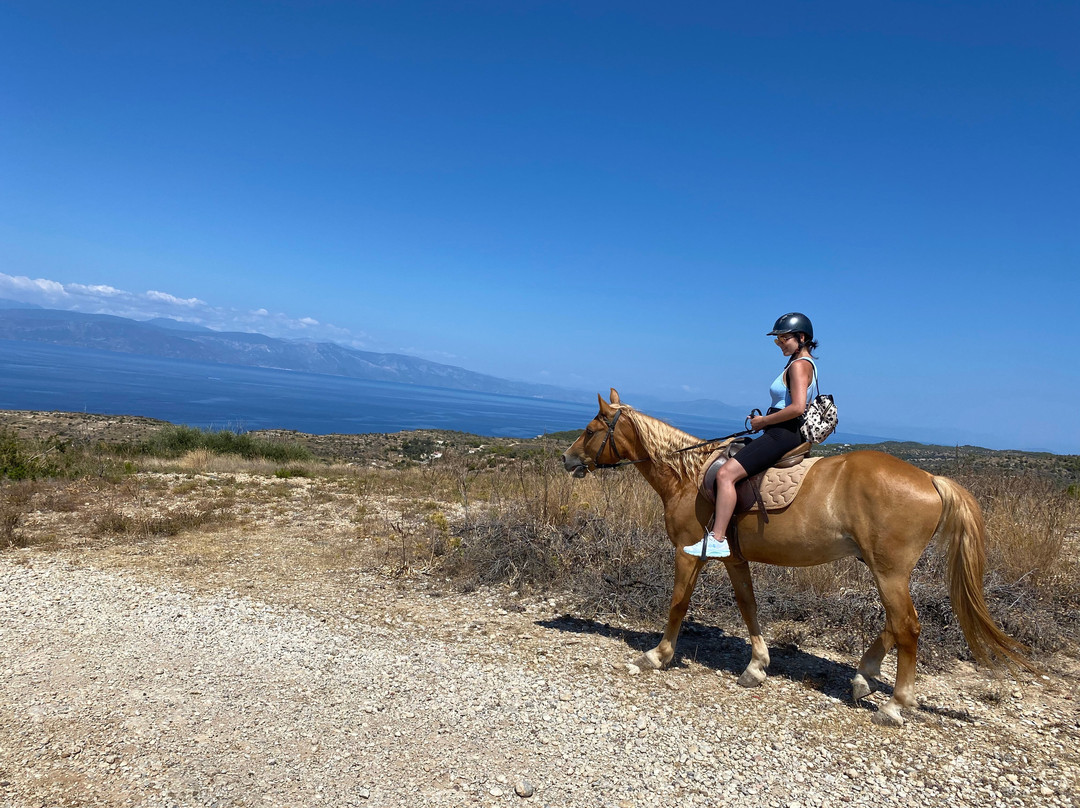 Gregs Spetses Horses-斯派采必去景点