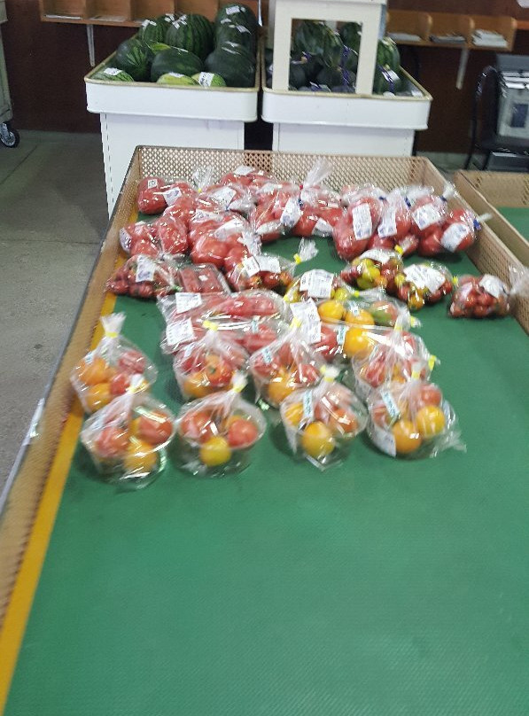 Chikatsu Asukanosato Michi-no-Eki-太子町必去景点