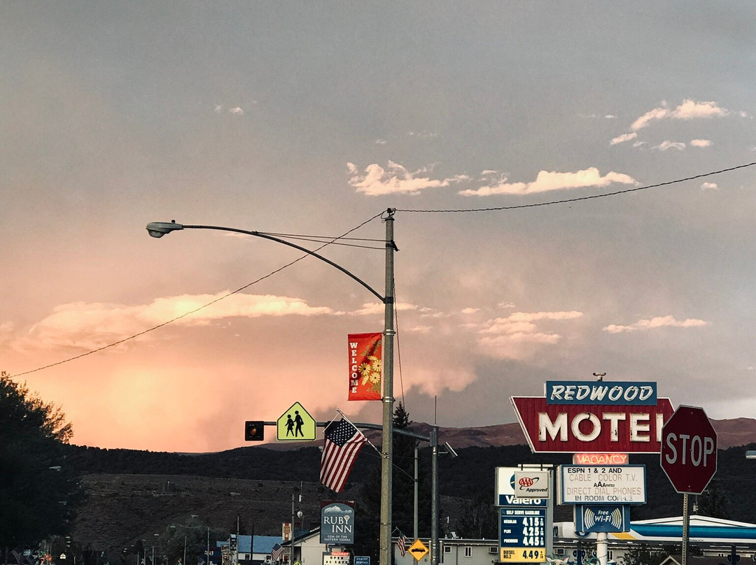 Redwood Motel主图