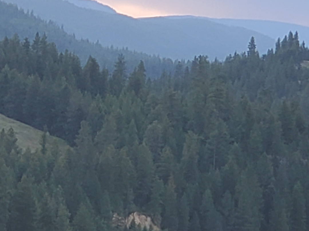 Double J Bed & Breakfast主图