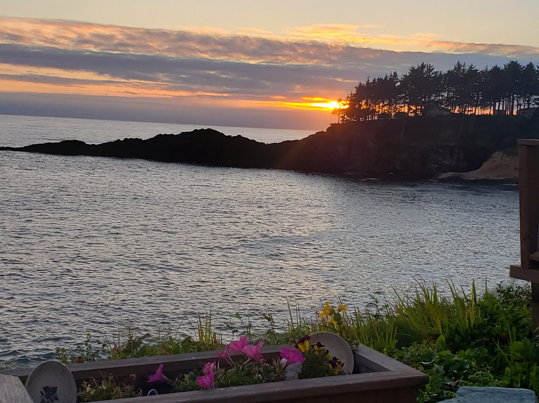 An Ocean Paradise Whales Rendezvous主图