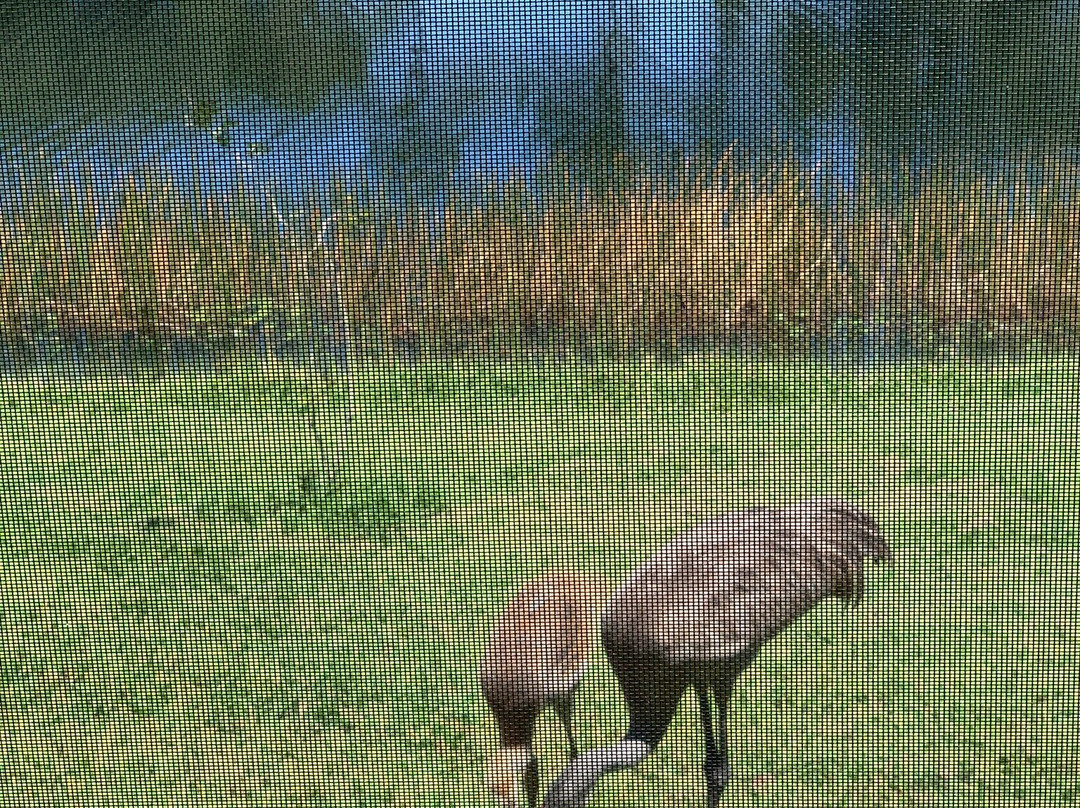The Groves Golf and Country Club-Land O Lakes必去景点