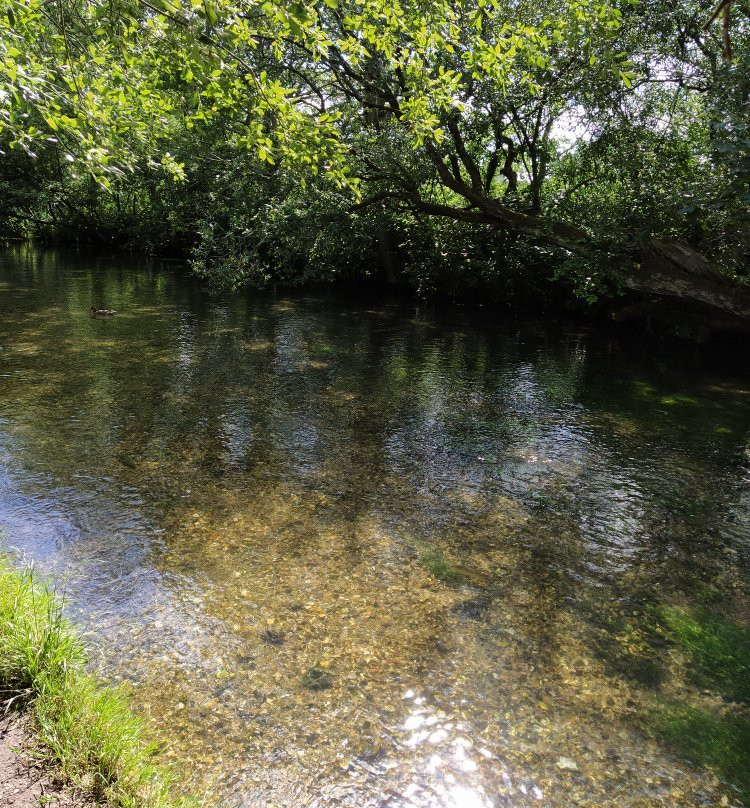 Alre Valley Trail景点图片